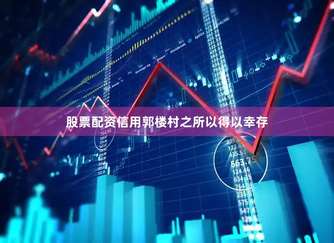 股票配资信用郭楼村之所以得以幸存
