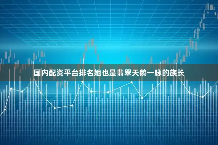 国内配资平台排名她也是翡翠天鹅一脉的族长