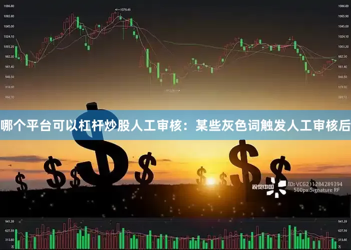 哪个平台可以杠杆炒股人工审核：某些灰色词触发人工审核后