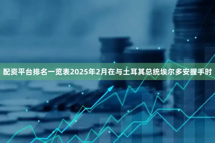 配资平台排名一览表2025年2月在与土耳其总统埃尔多安握手时