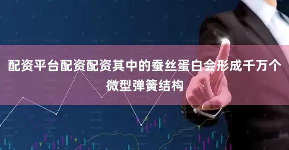 配资平台配资配资其中的蚕丝蛋白会形成千万个微型弹簧结构